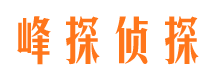 右江市侦探调查公司